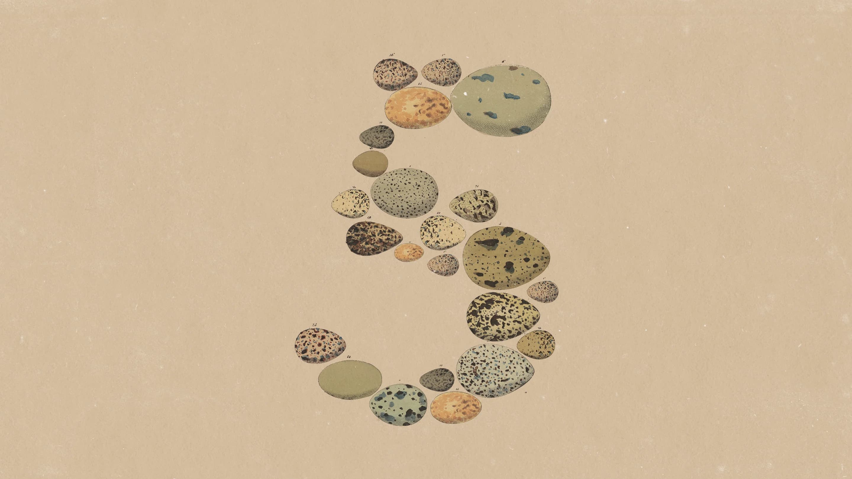 Anthropic wypuszcza Claude Opus 5: inteligencja bliska Fable 5 za połowę ceny