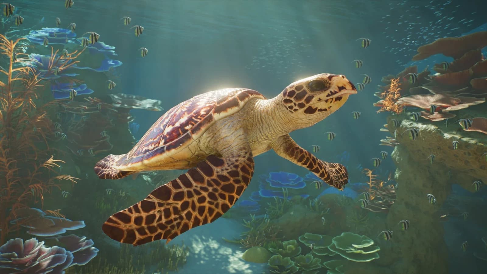 Planet Zoo 2 Launches: 9/10 on PS5, Rough Edges on PC and PLN 214.99 on Steam