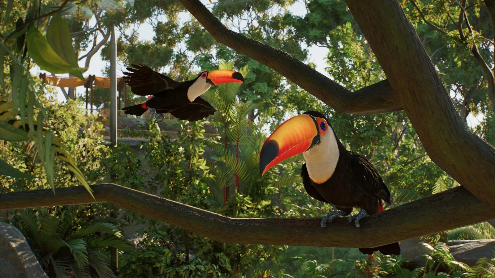 Dwa tukany na gałęzi w tropikalnej wolierze w Planet Zoo 2, jeden w locie, drugi siedzi na gałęzi